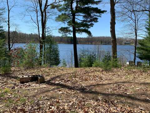21249 Monroe Road, Morley, MI 49336