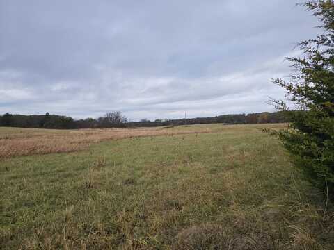 35 Acres S Farm Road 249, Rogersville, MO 65742