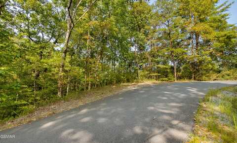 Lot 20 Sugar Maple Loop, Sevierville, TN 37862