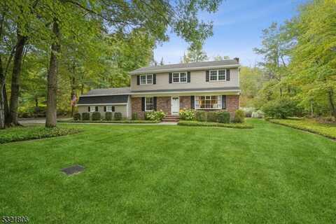 4 Van Dorn Rd, Bernardsville, NJ 07920