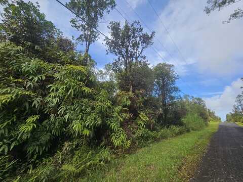 HIBISCUS ST, MOUNTAIN VIEW, HI 96771