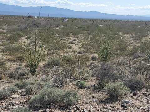 Lot 12 S Roll Rd, Yucca, AZ 86438