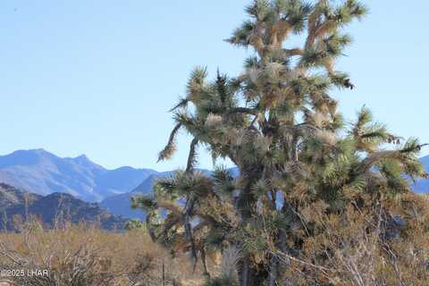 S Raley Rd, Yucca, AZ 86438
