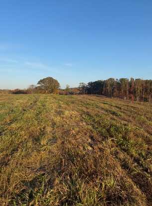 Lot 7 Laura Boling Loop, Strawberry Plains, TN 37871