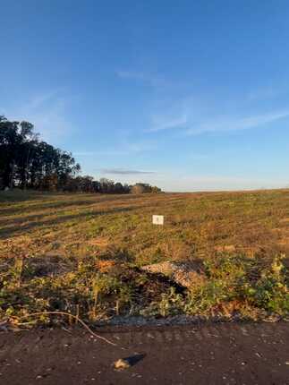 Lot 8 Laura Boling Loop, Strawberry Plains, TN 37871