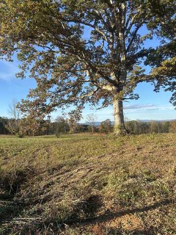 Lot 5 Laura Boling Loop, Strawberry Plains, TN 37871