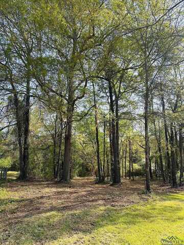 Tbd Travis Peak Trail, White Oak, TX 75693