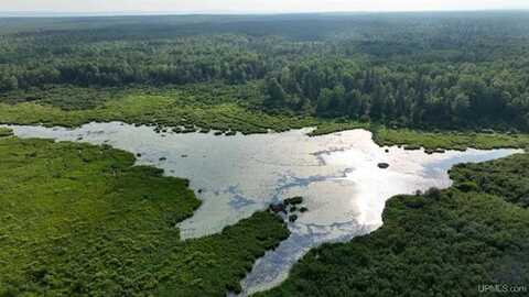 TBD Parcel F Off Bog Bear and Old 28 Rd, Ewen, MI 49925