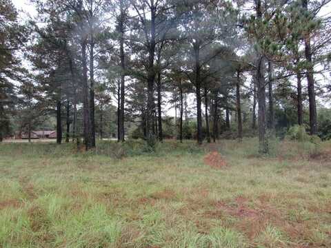 Lot 20 Will Road, Moultrie, GA 31768