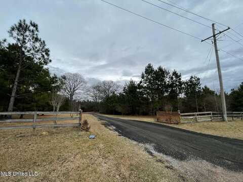 0 Springridge Road, Terry, MS 39170