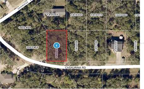 CASAURINA ROAD, LADY LAKE, FL 32159