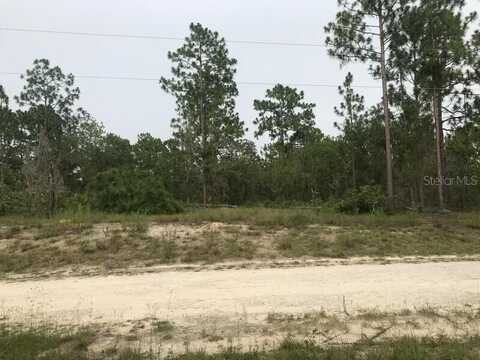 0 146TH TERRACE, WILLISTON, FL 32696