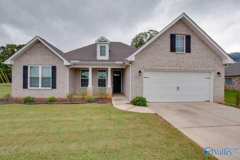 3001 Crystal Creek Drive, Brownsboro, AL 35741