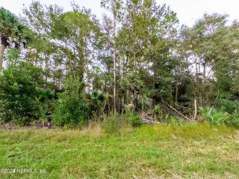 113 LAISY Drive, Georgetown, FL 32139