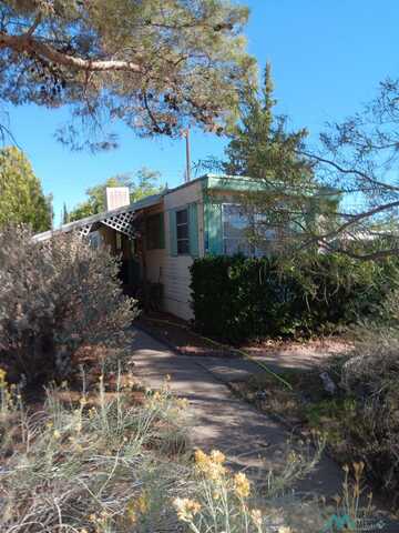 2919 S 9th St Street, Deming, NM 88030