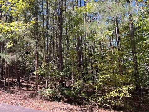 0 Hidden Springs Way, Cross Hill, SC 29332