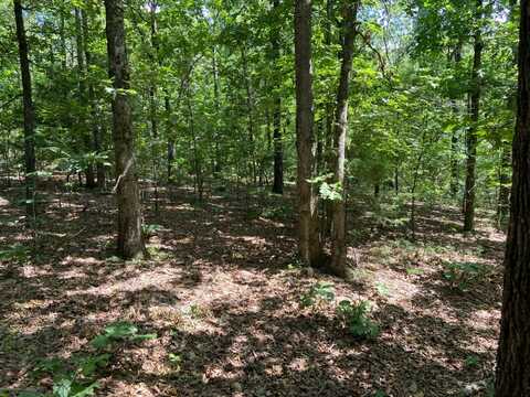 TBD Sassafras Trail, Ravenden Springs, AR 72460