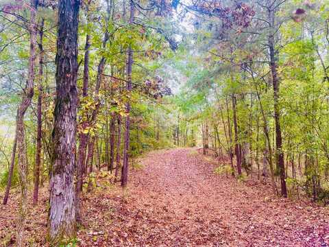 0 Round Hill Rd., Thomasville, Alabama, AL 36784