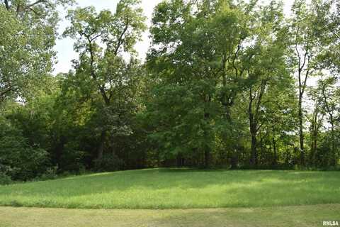 Lot 11 FAWN RIDGE Lane, Mapleton, IL 61547