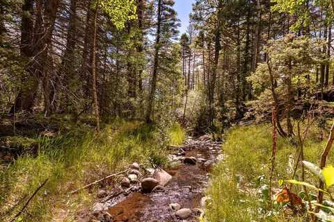 County Rd 46, Aguilar, CO 81020