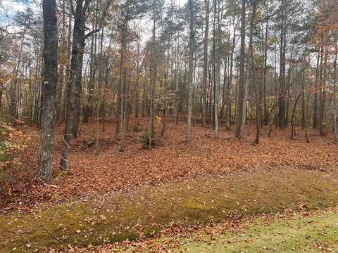 0 Doll Mountain Road, Ellijay, GA 30540