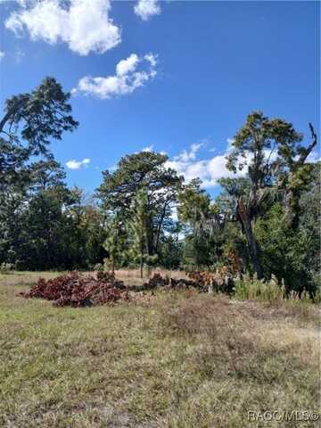 6552 W Gulf to Lake Highway, Crystal River, FL 34429