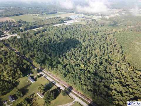 TBD Shaw Drive, Hartsville, SC 29550