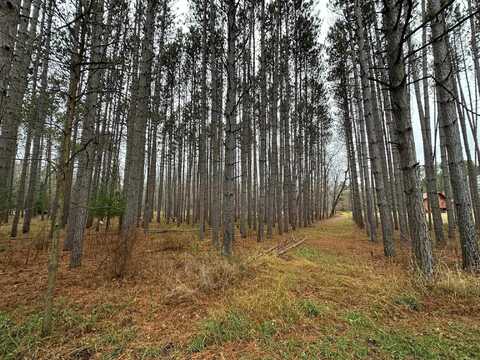 COVERED BRIDGE Road, WAUPACA, WI 54981