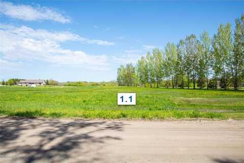 310 Lot1.1 Mallard Lane, Brandon, MN 56315