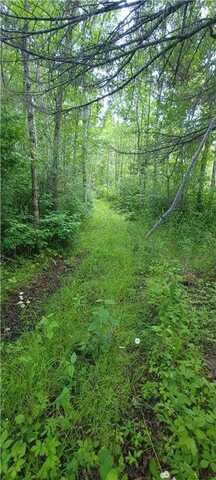 Tbd State Hwy 1, Effie, MN 56639