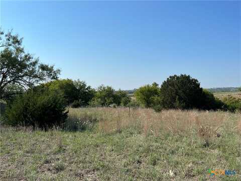 Tbd FM 2005, Hamilton, TX 76531