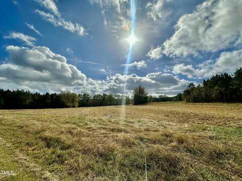 Lot 2 Walter Humphries Road, Rougemont, NC 27572