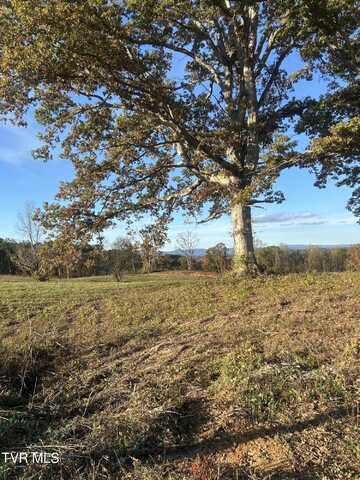 Lot 5 Laura Boling Loop Road, Strawberry Plains, TN 37871