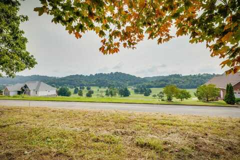 Lot 41 Chimney Top Lane, Chuckey, TN 37641