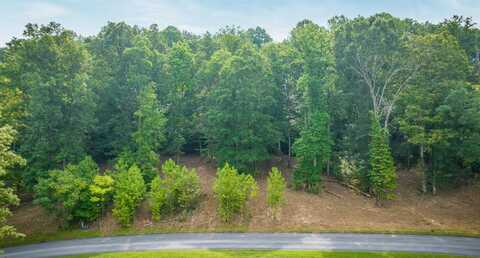 Lot 36 Chimney Top Lane, Chuckey, TN 37641