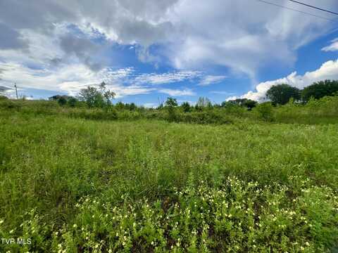 Lot 5 Carpenters Chapel Road, Mosheim, TN 37818