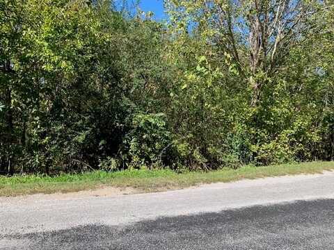 Coconut Ridge Rd Lot 42, SMITHVILLE, TN 37166