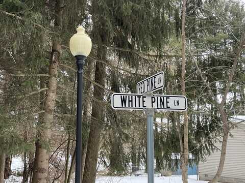 Lot 16 White Pine Lane, Croswell, MI 48422