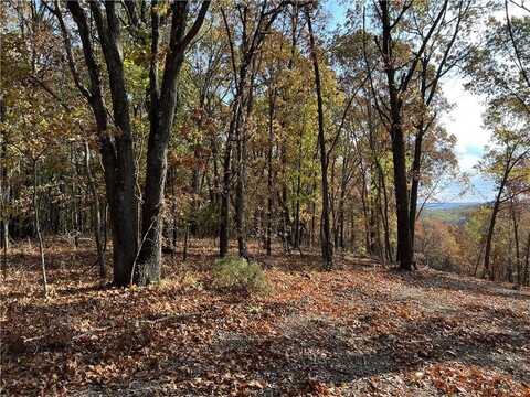 12.65 AC Jackson Ridge, Harrison, AR 72601