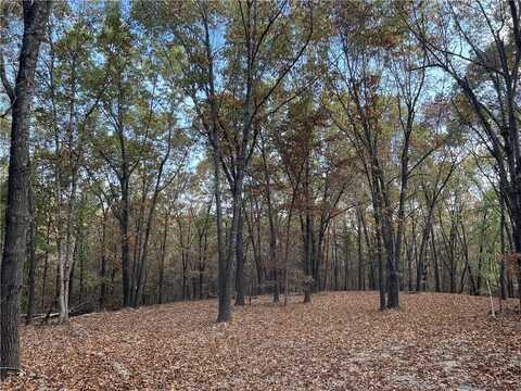 16.33 AC Jackson Ridge, Harrison, AR 72601