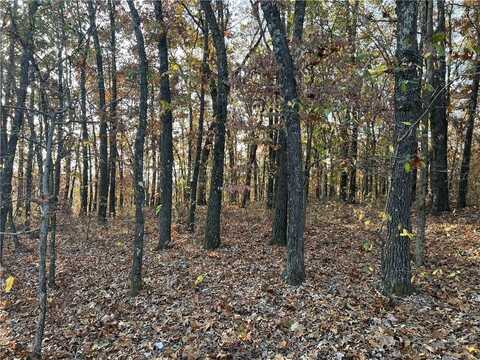 37.64 AC Dubuque RD, Harrison, AR 72601