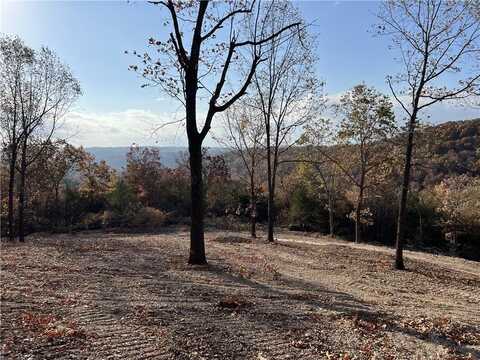 21.73 AC Jackson Ridge, Harrison, AR 72601