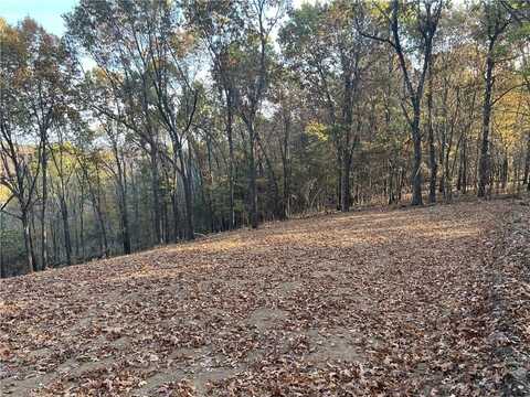 17.03 AC Jackson Ridge, Harrison, AR 72601