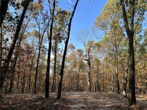 16.55 AC Jackson Ridge, Harrison, AR 72601