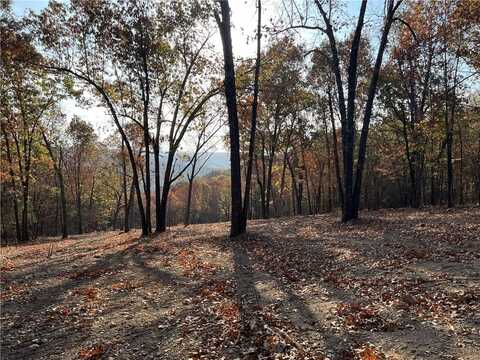 13.44 AC Jackson Ridge, Harrison, AR 72601