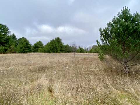 4.94 acres Tag Alder Trail, Gaylord, MI 49735