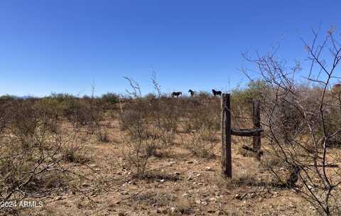 Lot 35 Middlemarch Road, Tombstone, AZ 85638