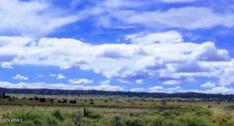 Tbd Lot 85 Block 32 Bell Brand Ranches --, Chambers, AZ 86502