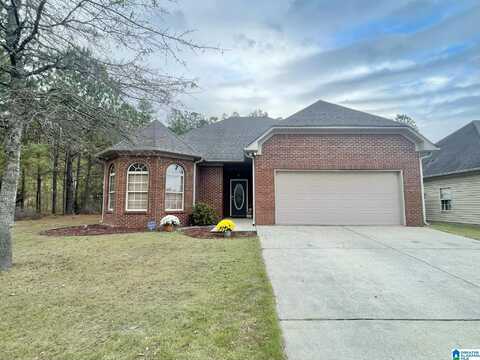 204 WATERFORD HIGHLANDS TRAIL, CALERA, AL 35040