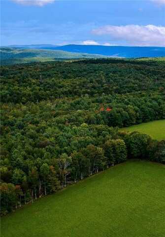 Lot 5b Cornell Road, Blenheim, NY 12167